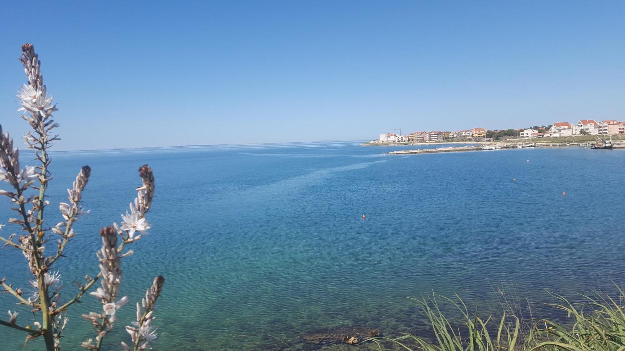 Zagi Apartment Povljana Bagian luar foto
